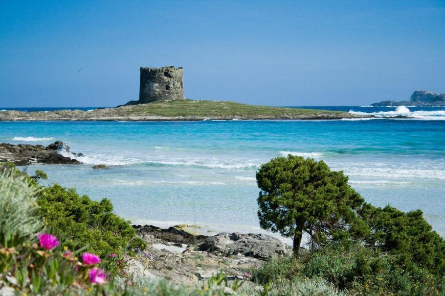 Apartamento Vacanze Sardegna Santa Teresa Gallura Exterior foto